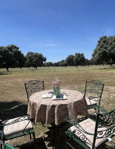 valdesecano eventos 07 400x516 - Eventos