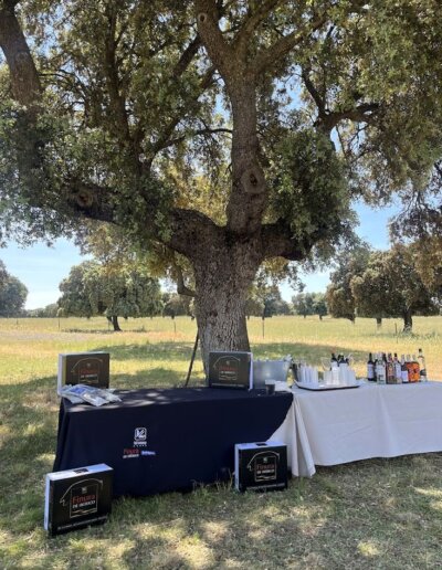 valdesecano eventos 08 400x516 - Eventos