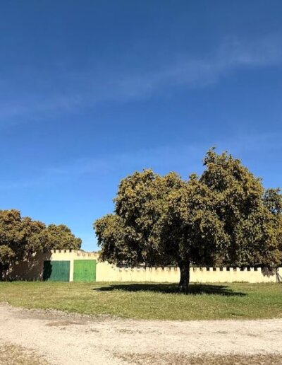valdesecano la casita 03 400x516 - El Castillo